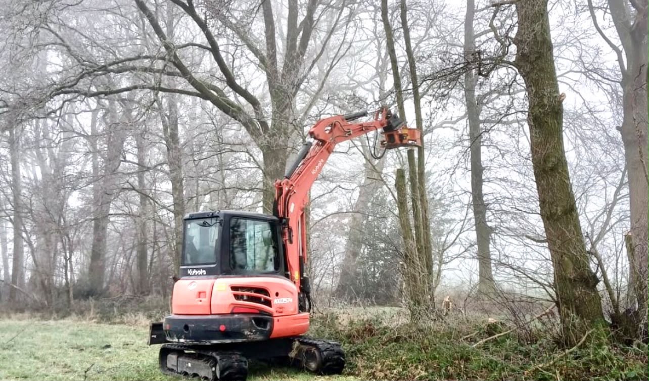 Baumpflege mit Bagger